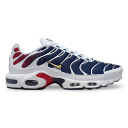 Nike Air Max Plus TN Paris Saint-Germain 'Home Kit' (24)