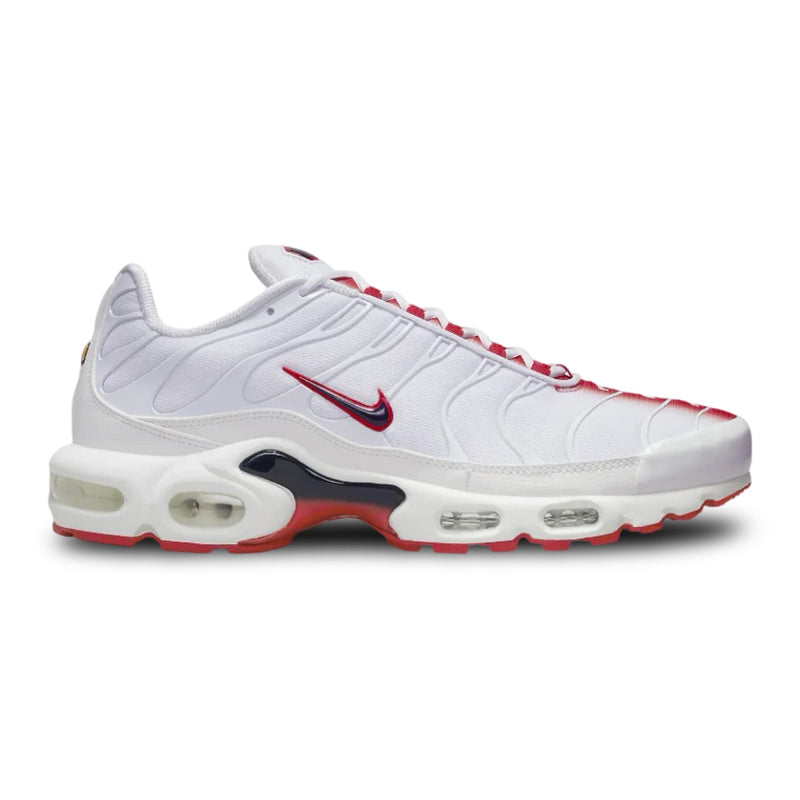 Nike Air Max Plus TN 'BloodShot / BloodLine' (23)