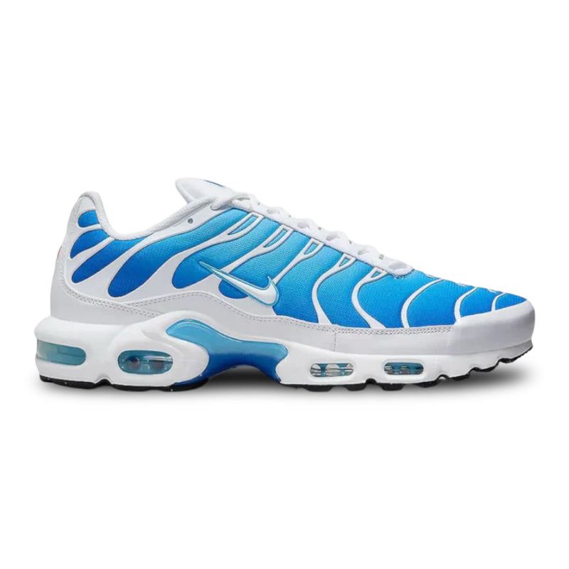 Nike Air Max Plus TN 'Sky/Battle Blue' (24)