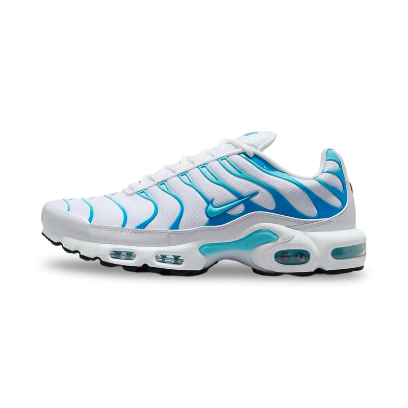 Nike Air Max Plus TN 'Dreams' (24)