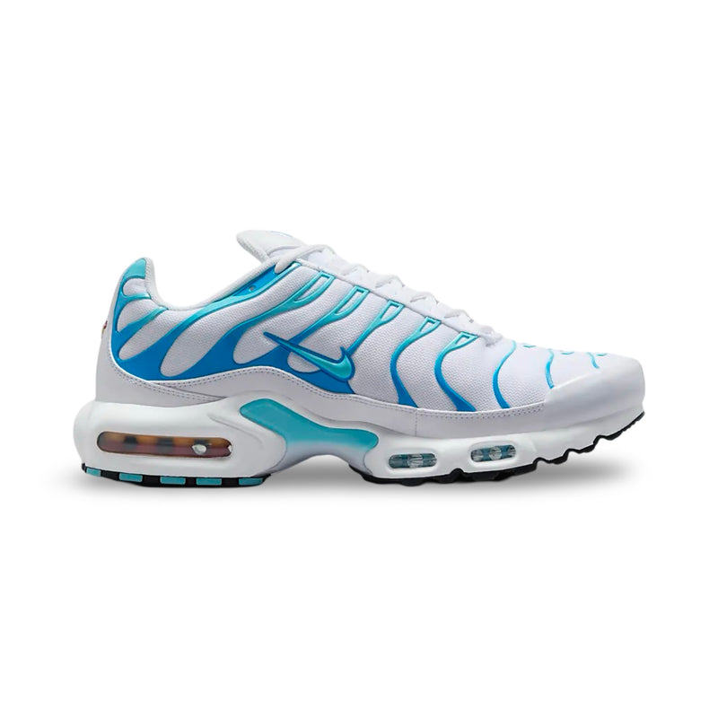 Nike Air Max Plus TN 'Dreams' (24)